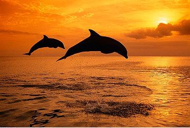 多结局、多分支剧情的国产僵尸题材生存游戏《苏醒之路》已正式上线Steam等平台