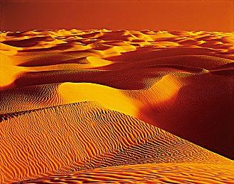 《暗黑破坏神2：重制版》2.4.3版将上线 改善游戏体验